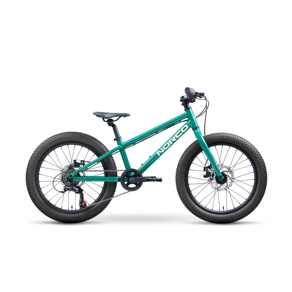 PREVENTA - Bicicleta Storm 20 Disc Verde Norco