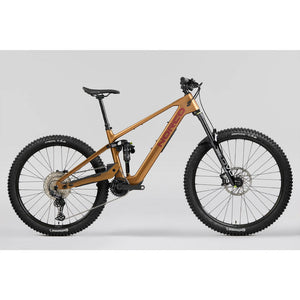EBIKES