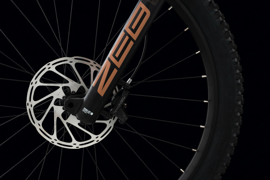 65fc4d5255e23513121a332b