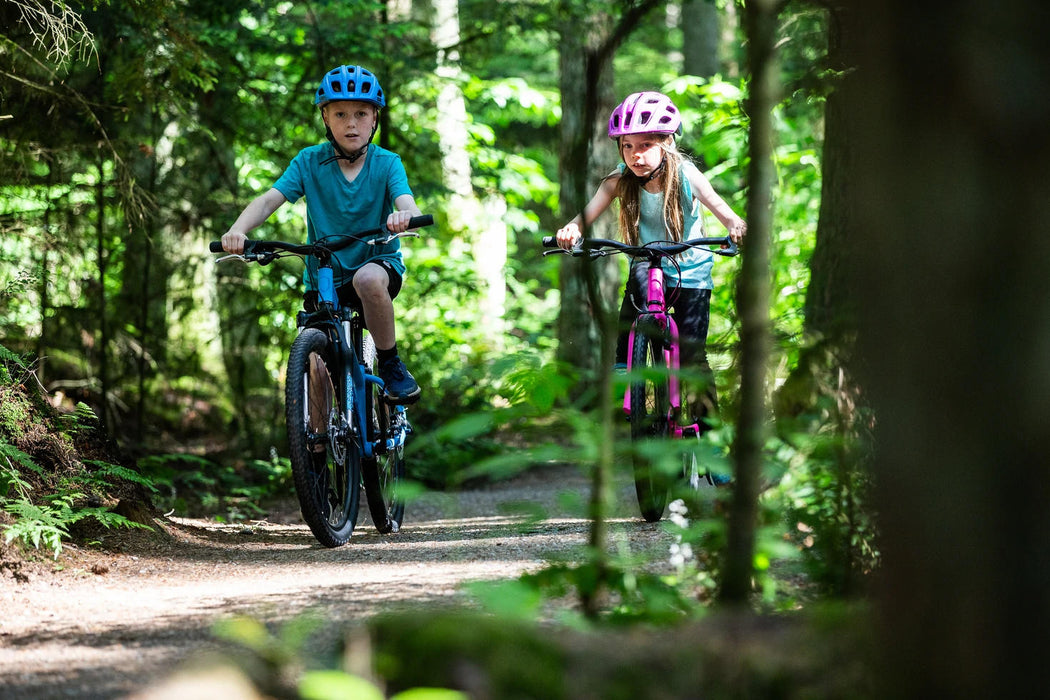 68c0ce7e3094fb1100fe7d17