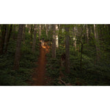 68c0ce7a7f33c21136475031