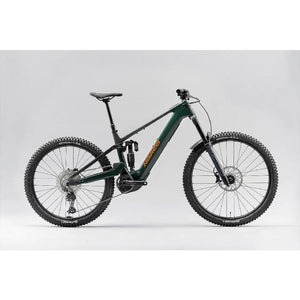 EBIKES